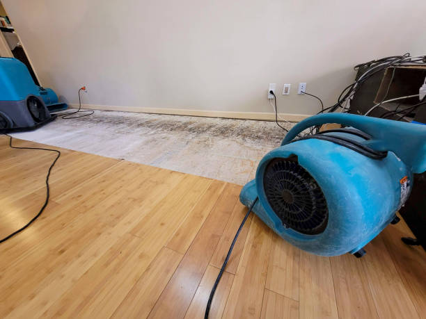 Professional Flood Damage Cleanup technician working in Holly Hill, FL